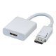 Adaptateur DisplayPort